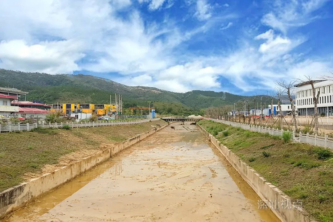 微信图片_20200420084758.jpg