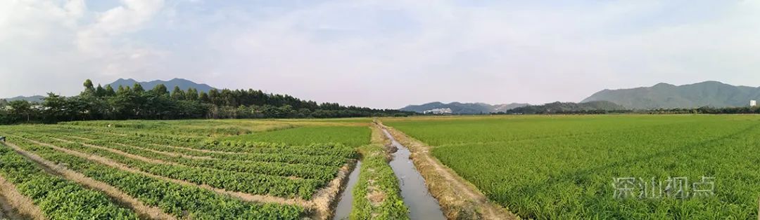 微信图片_20200528090219.jpg
