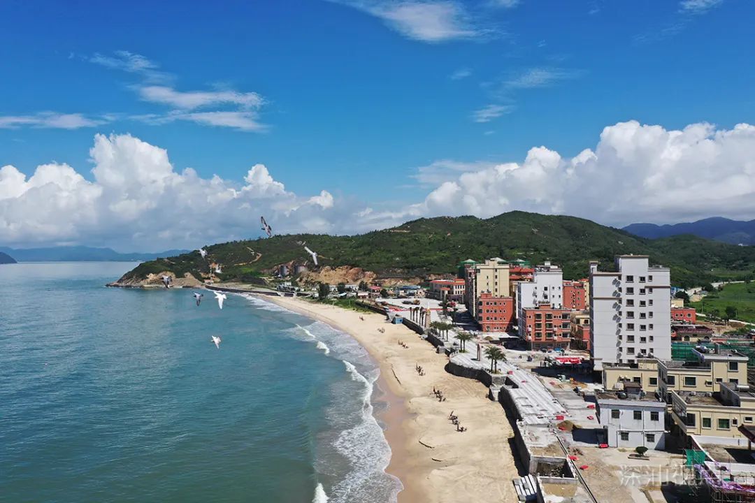 微信图片_20200624090146.jpg