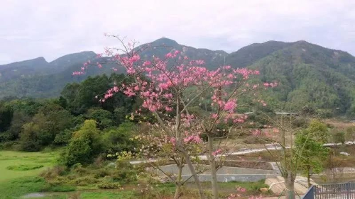 微信图片_20220106083810.jpg