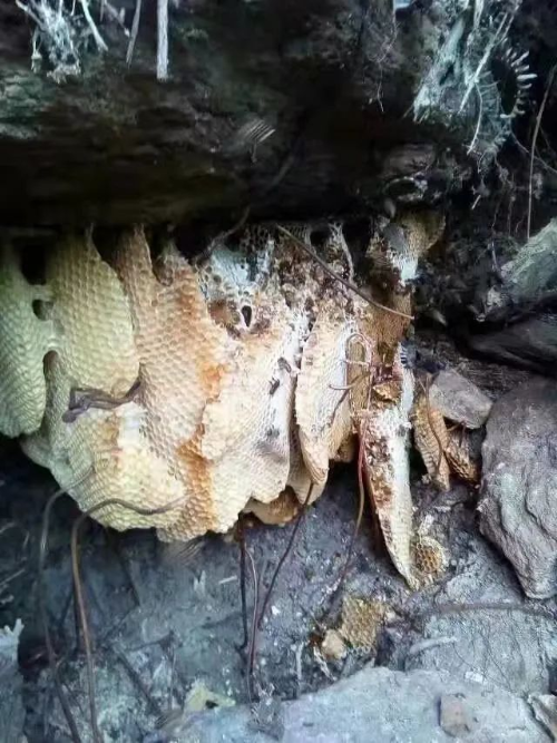 微信图片_20220118085943.jpg