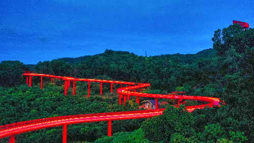 夜色中的光明虹桥别有一番风味。.jpg