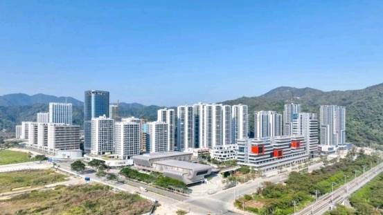    通讯员 深汕宣 供图