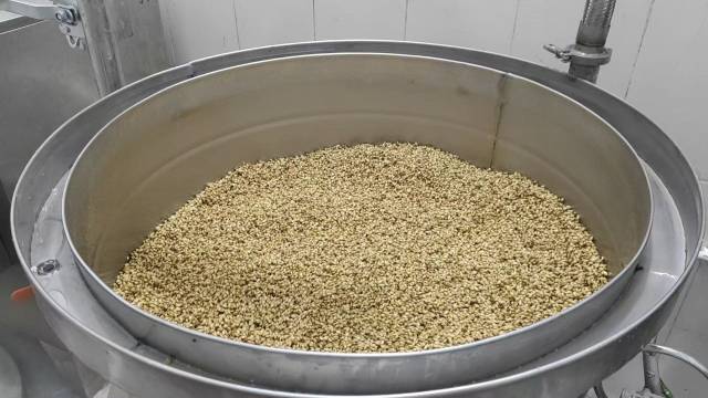 用于酿酒的小麦。