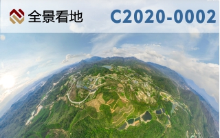 C2020-0002图