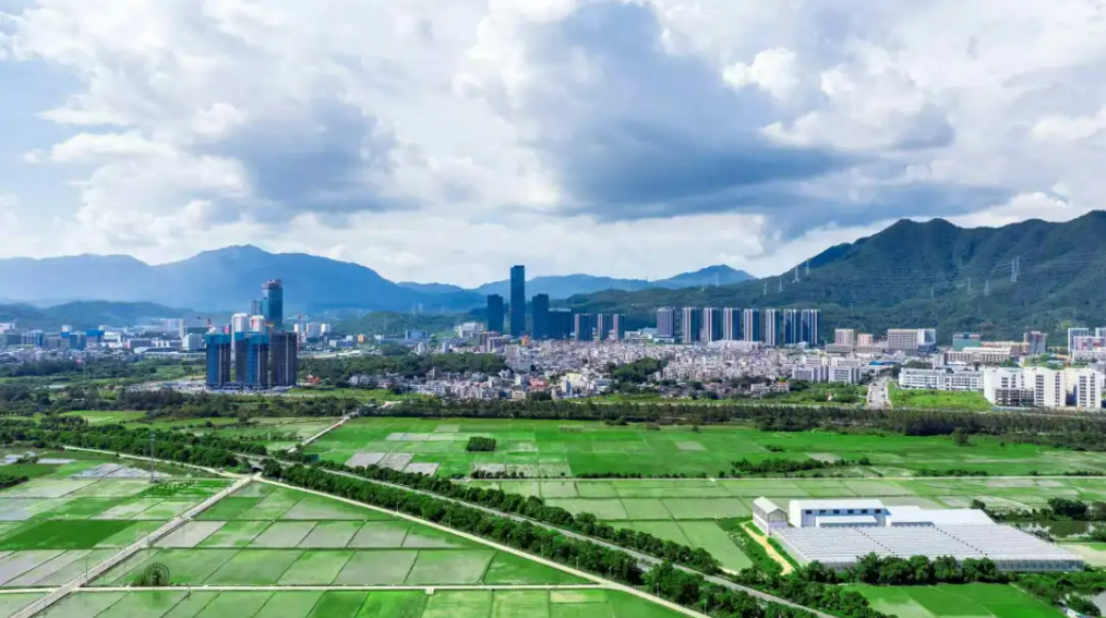 c5d369a3-acd8-49f9-bcc2-cec3165f4e2b.png